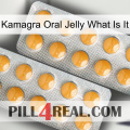 Kamagra Oral Jelly What Is It levitra2